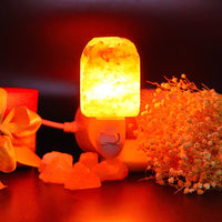 Thumbnail for Rose Salt Wall Lamp Night Light-Your Soul Place