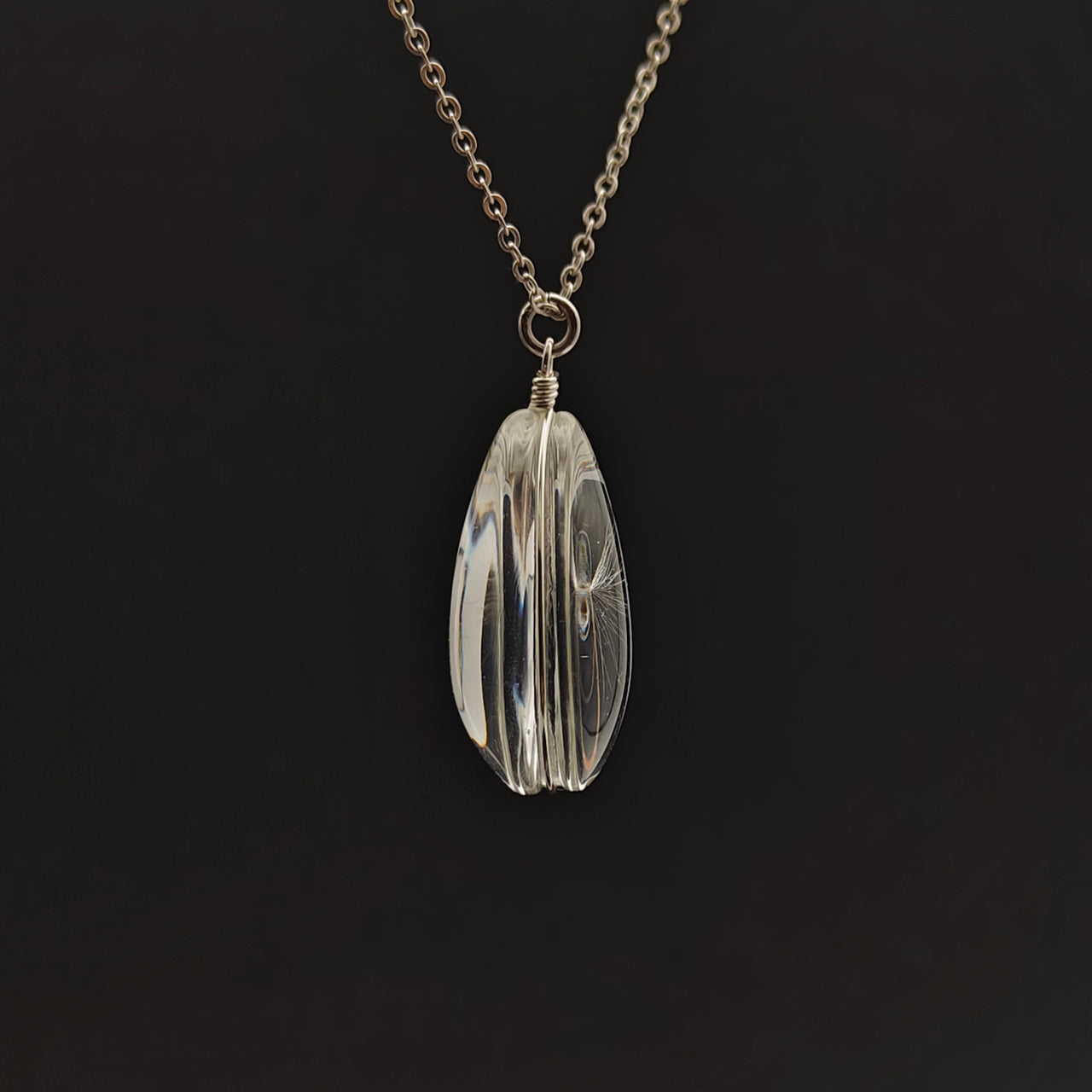 925 Sterling Silver Necklace with Real Dandelion Seed