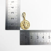 Thumbnail for Silver & Zirconia AQUARIUS Zodiac Charm in Gold