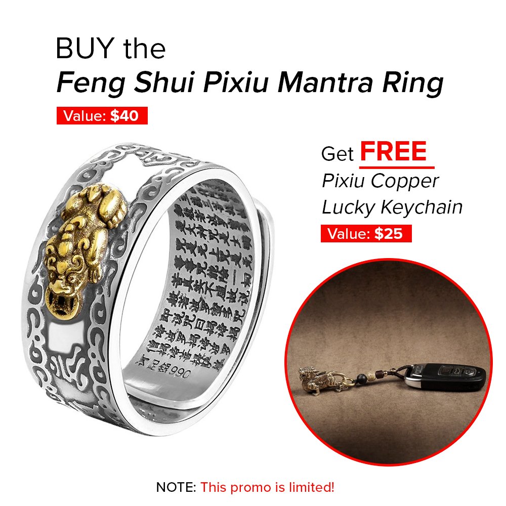 Buy the Feng Shui Pixiu Ring and Get FREE Pixiu Copper  Lucky Keychain (LIMITED PROMO ONLY)