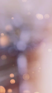 Silver & Zirconia Ankh & Egyptian Scarab Pendant Necklace