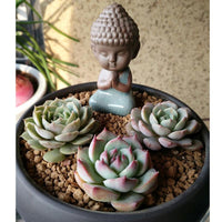 Thumbnail for Glazed Buddha Tea Pet Cute Figurine