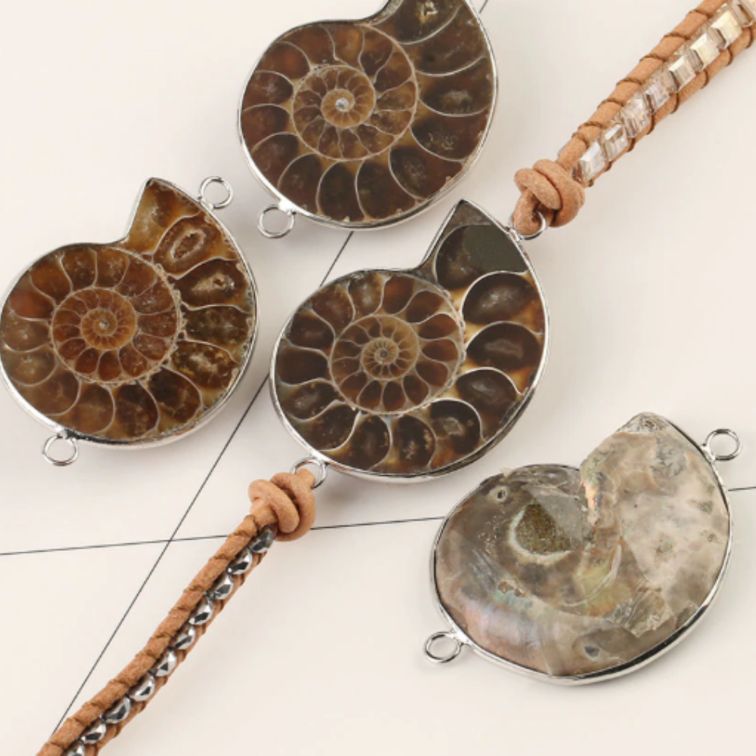 Ammonite Fossils Tiger Eye Wrap Bracelet-Your Soul Place