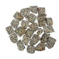 Thumbnail for Grounding Dalmatian Jasper Vikings Rune Set-Your Soul Place