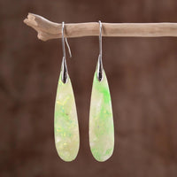 Thumbnail for Summer Holiday Jasper Hook Earrings-Your Soul Place