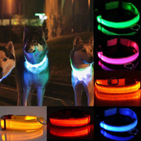 Thumbnail for LED Pet Safety Collar