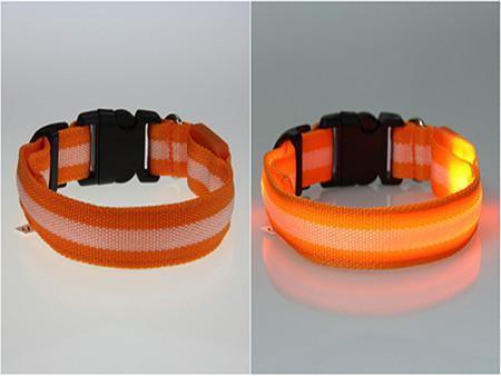 LED Pet Safety Collar-Your Soul Place
