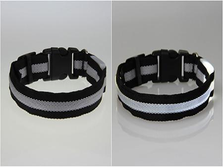 LED Pet Safety Collar-Your Soul Place