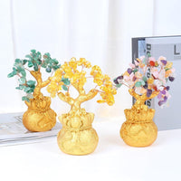 Thumbnail for Season Of Abundance Bonsai Money Tree