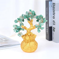 Thumbnail for Season Of Abundance Bonsai Money Tree-Your Soul Place