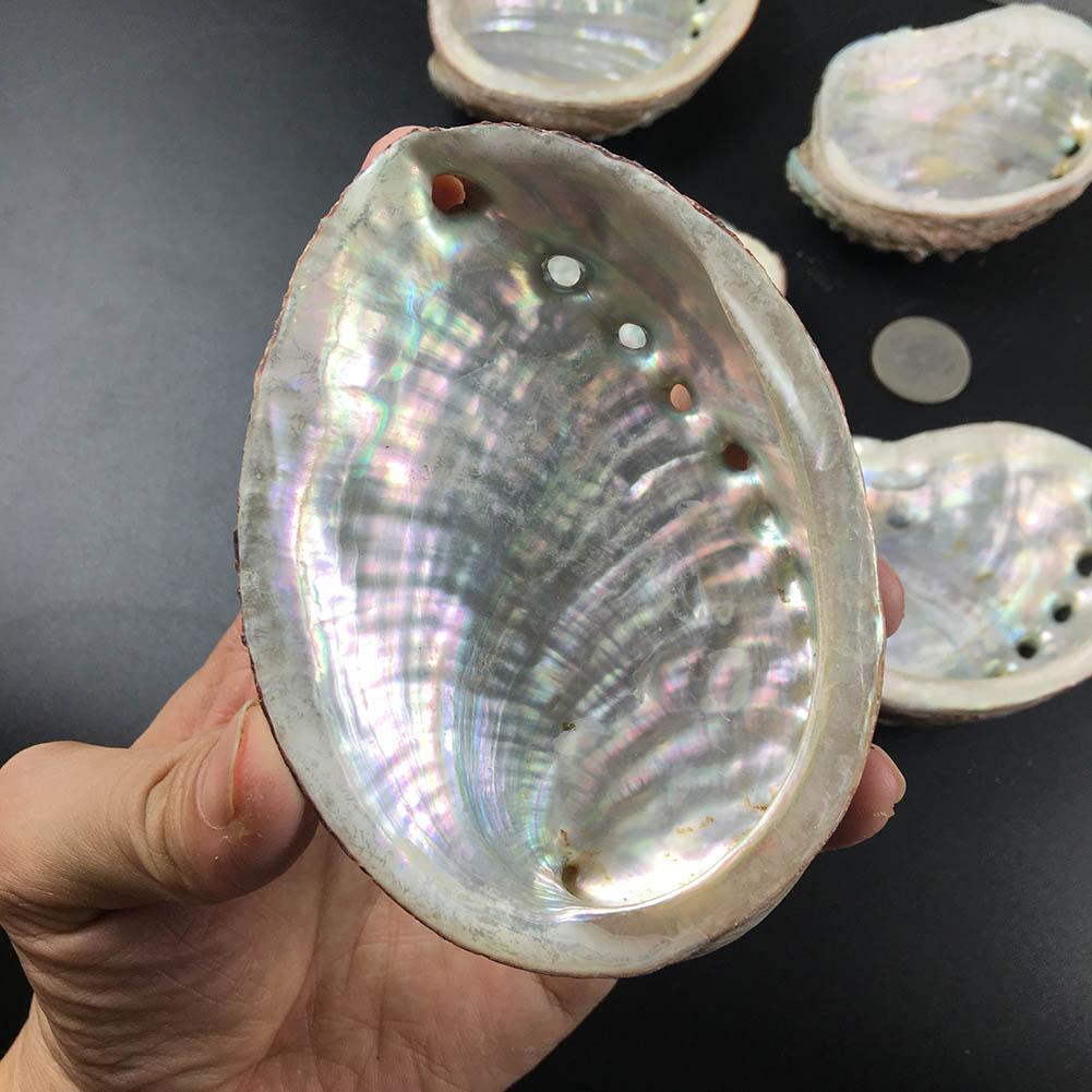 Abalone Shell Sage Burner-Your Soul Place