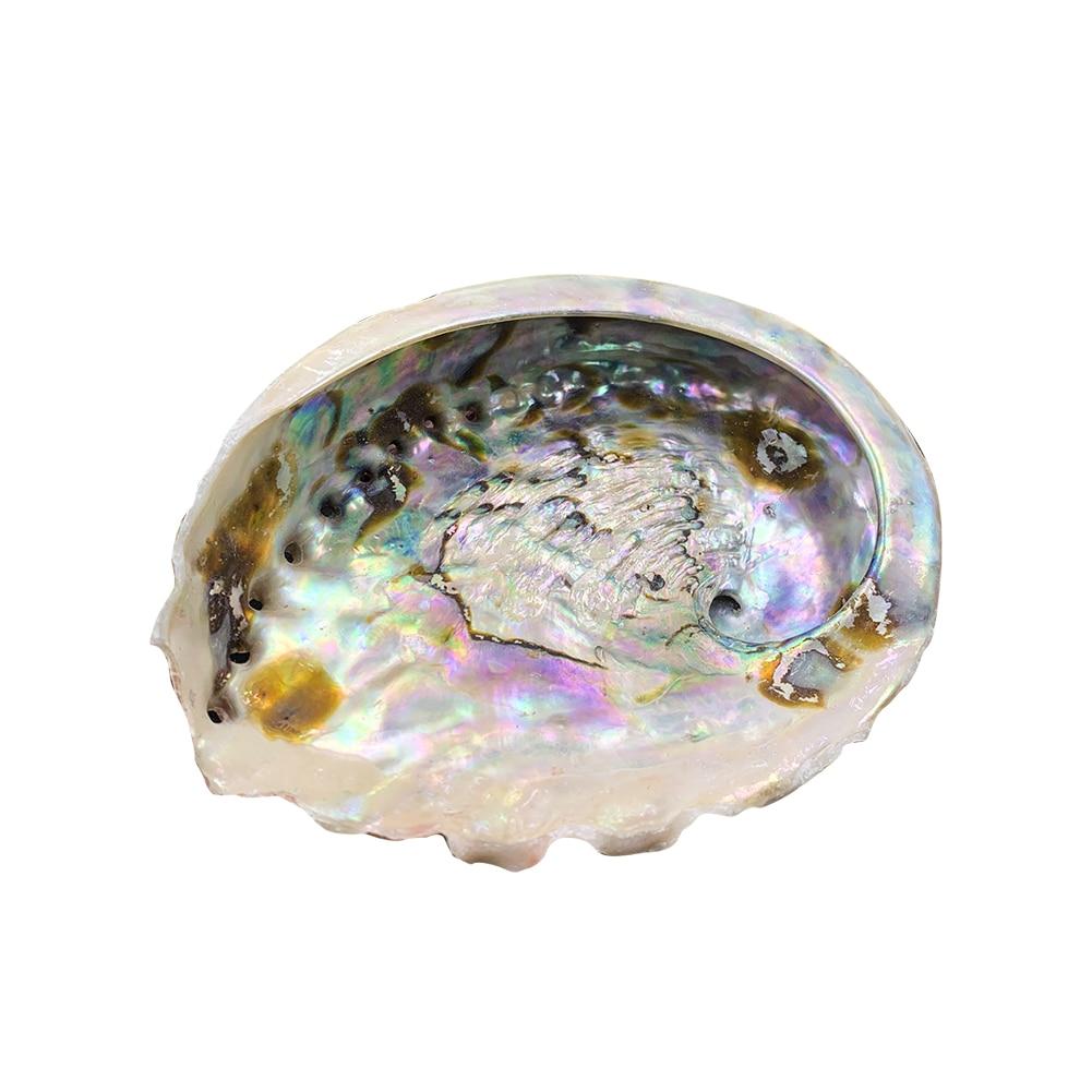Abalone Shell Sage Burner-Your Soul Place