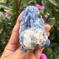 Thumbnail for 200g Chakra Healing Raw Blue Kyanite-Your Soul Place
