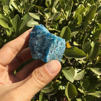 Thumbnail for The Stone of Achievement Natural Blue Apatite-Your Soul Place