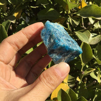 Thumbnail for The Stone of Achievement Natural Blue Apatite-Your Soul Place